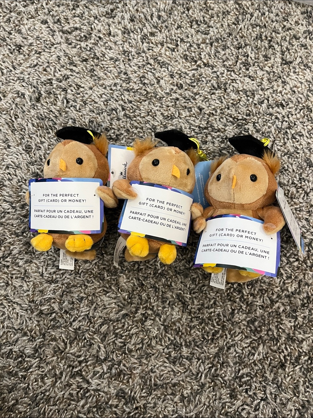 Hallmark Plush Graduation Owl - gift card holder